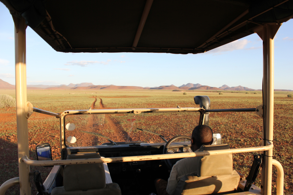 A Typical Day on a Luxury Safari Holiday